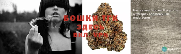 гидропоника Белоозёрский