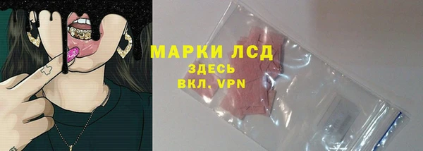 молекула духа Богородицк