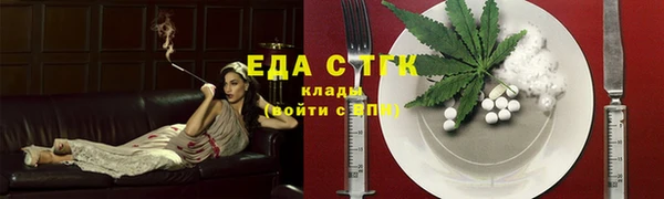 молекула духа Богородицк