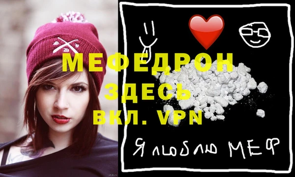 молекула духа Богородицк