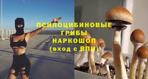 а пвп мука Белокуриха