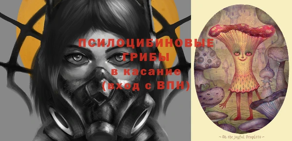 винт Богданович