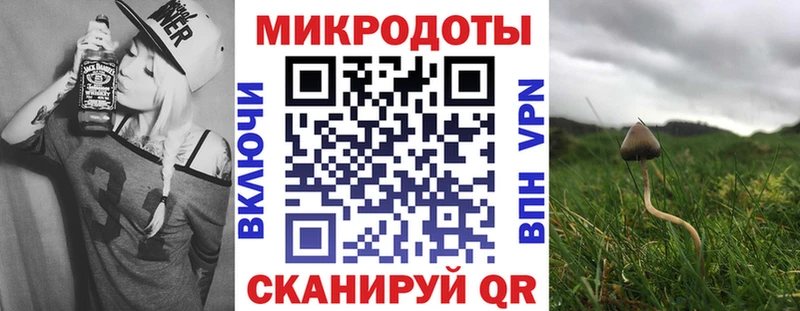 Псилоцибиновые грибы GOLDEN TEACHER  omg ТОР  Котовск 